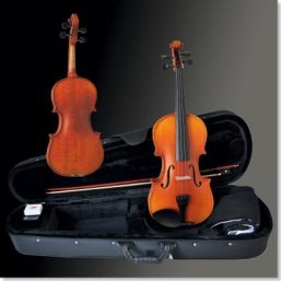 Franz Sandner Violine Garnitur 302