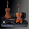 Franz Sandner Violine Garnitur 306