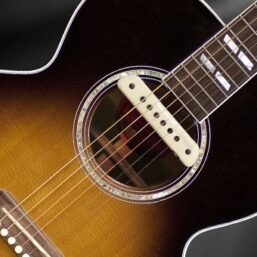 L.R.BAGGS M1 Passiver/Aktiver Pickup