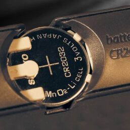L.R.BAGGS M1 Passiver/Aktiver Pickup