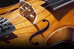 STENTOR Violin SET Granduate